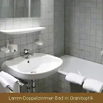 Hotel Lamm 3*