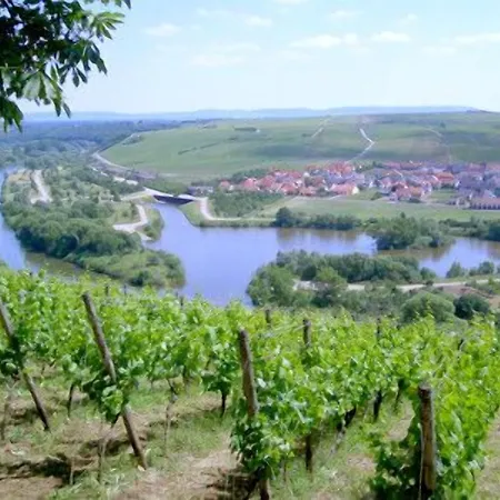 Lamm Höchberg