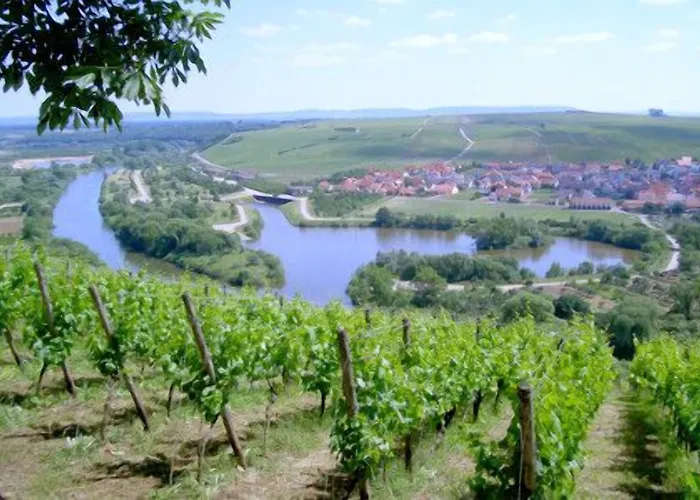 Lamm Höchberg